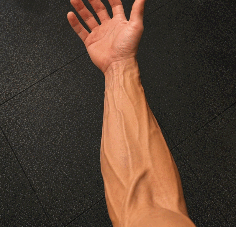 Forearm vascularity training result animation
